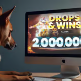 Drops & Wins Slots